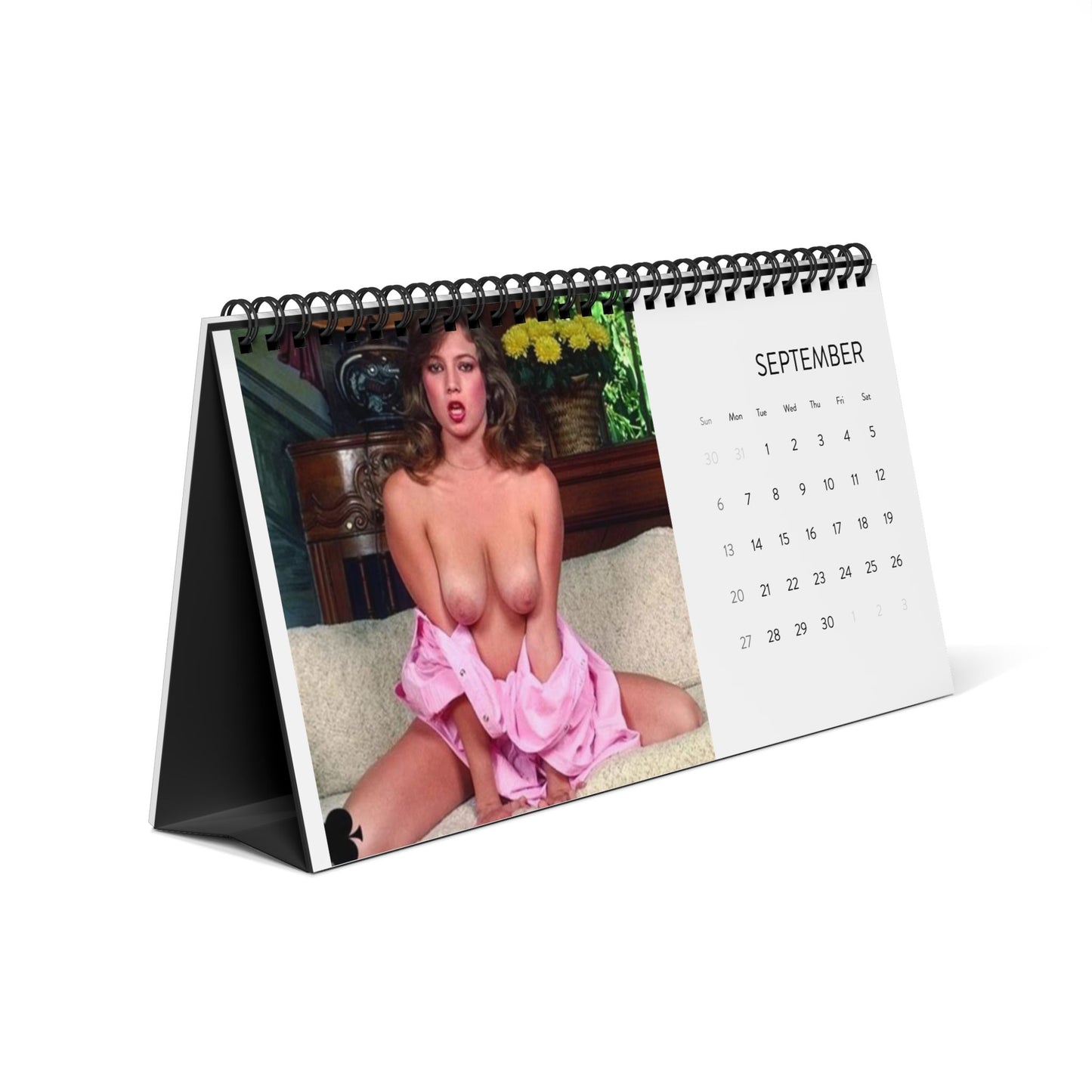 Desktop Calendar (2026 grid) Traci Lords Nude