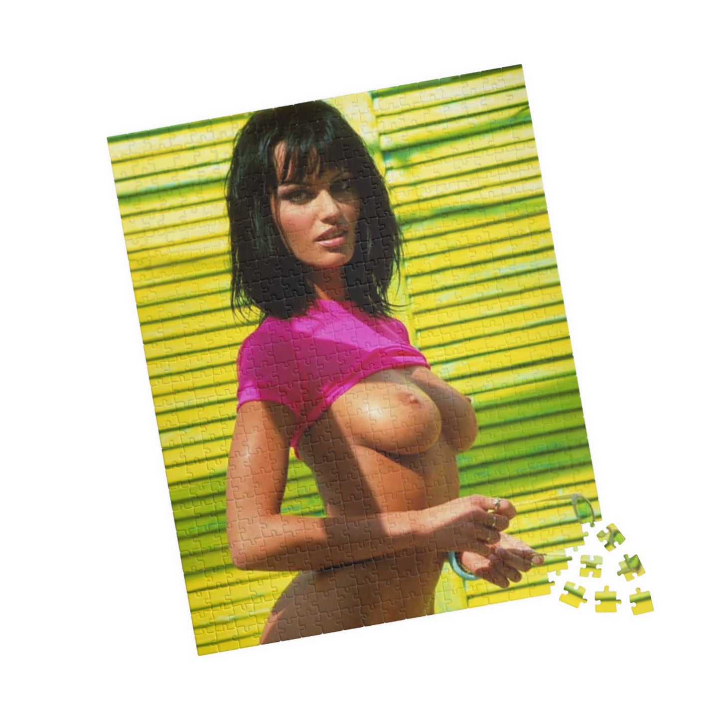 Puzzle (110, 252, 520, 1014-piece) Retro Porn Star Anita Blond