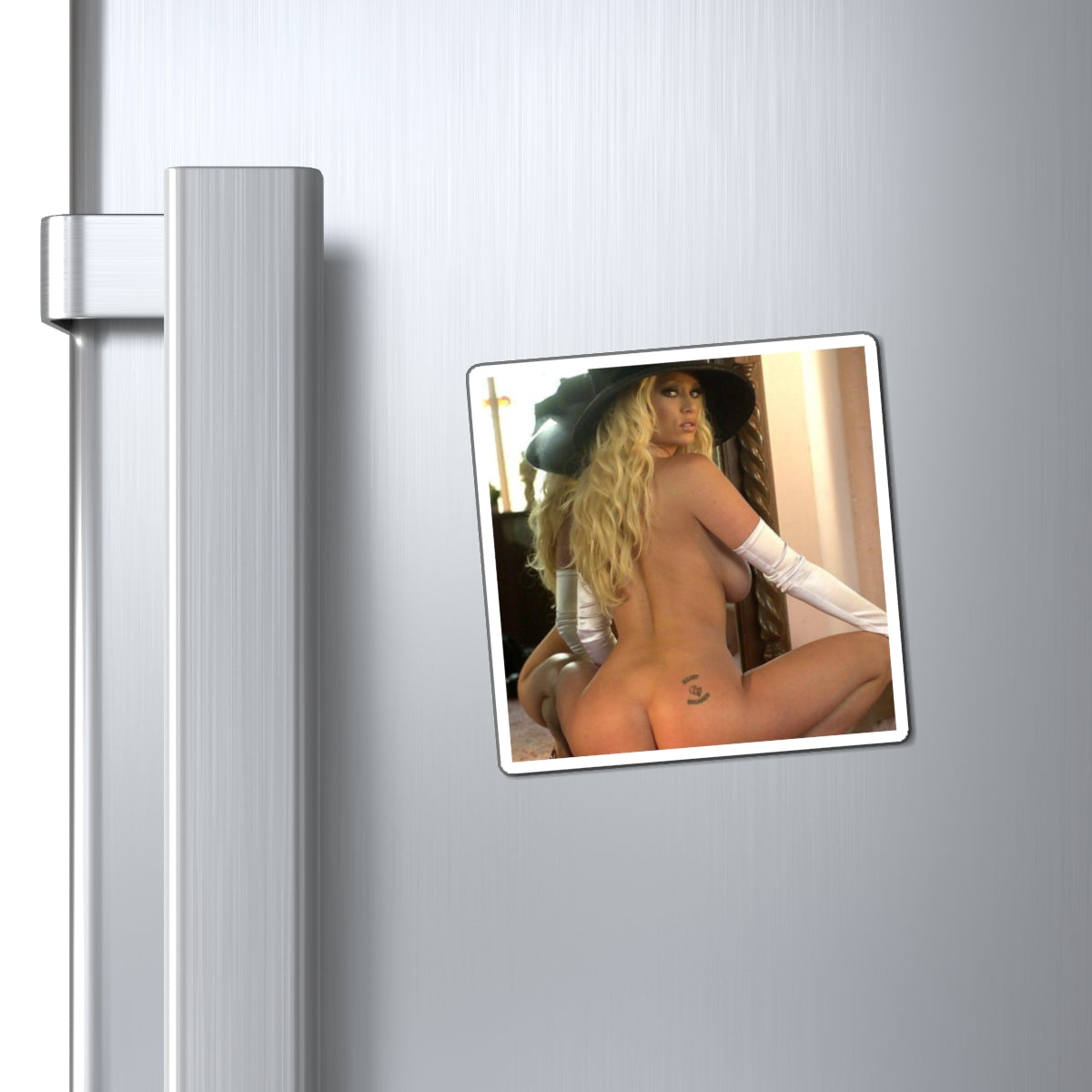 Magnets Pornstar Jenna Jameson Nude