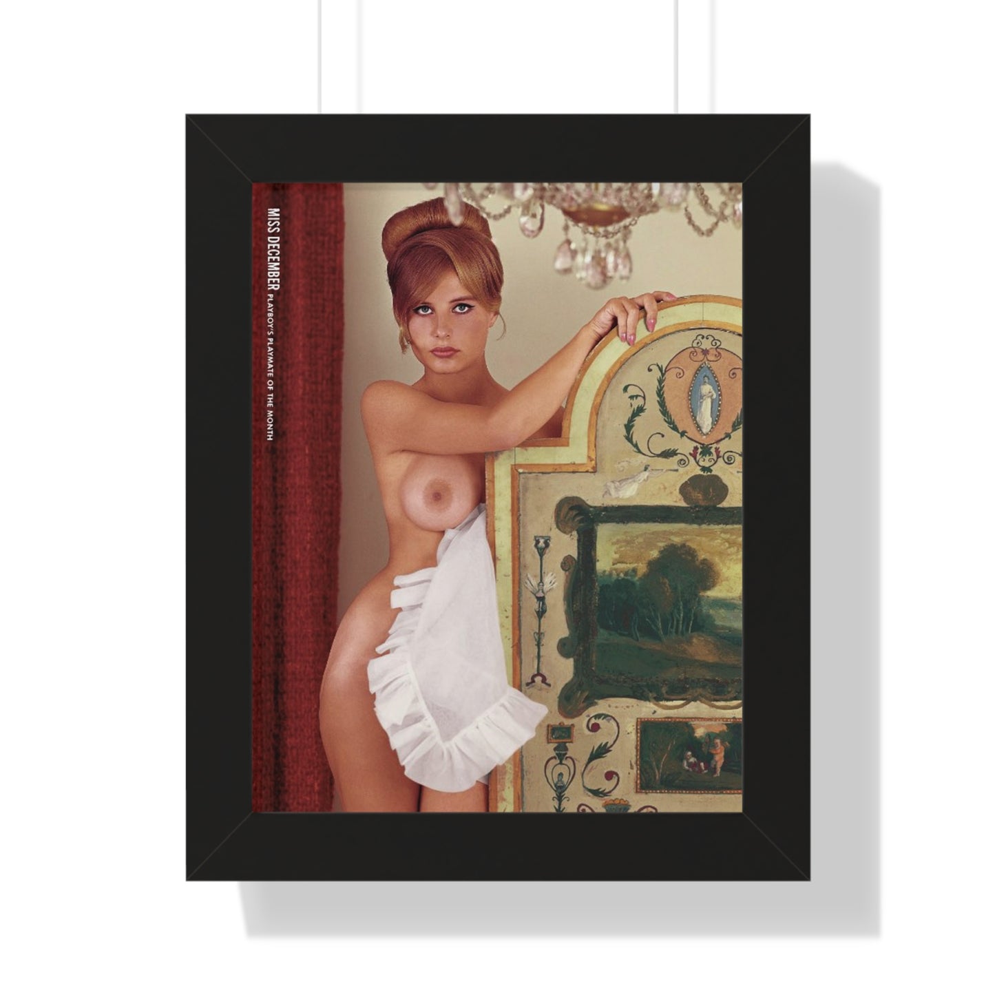 Framed Vertical Poster Playboy Playmate December 1963 Donna Michelle