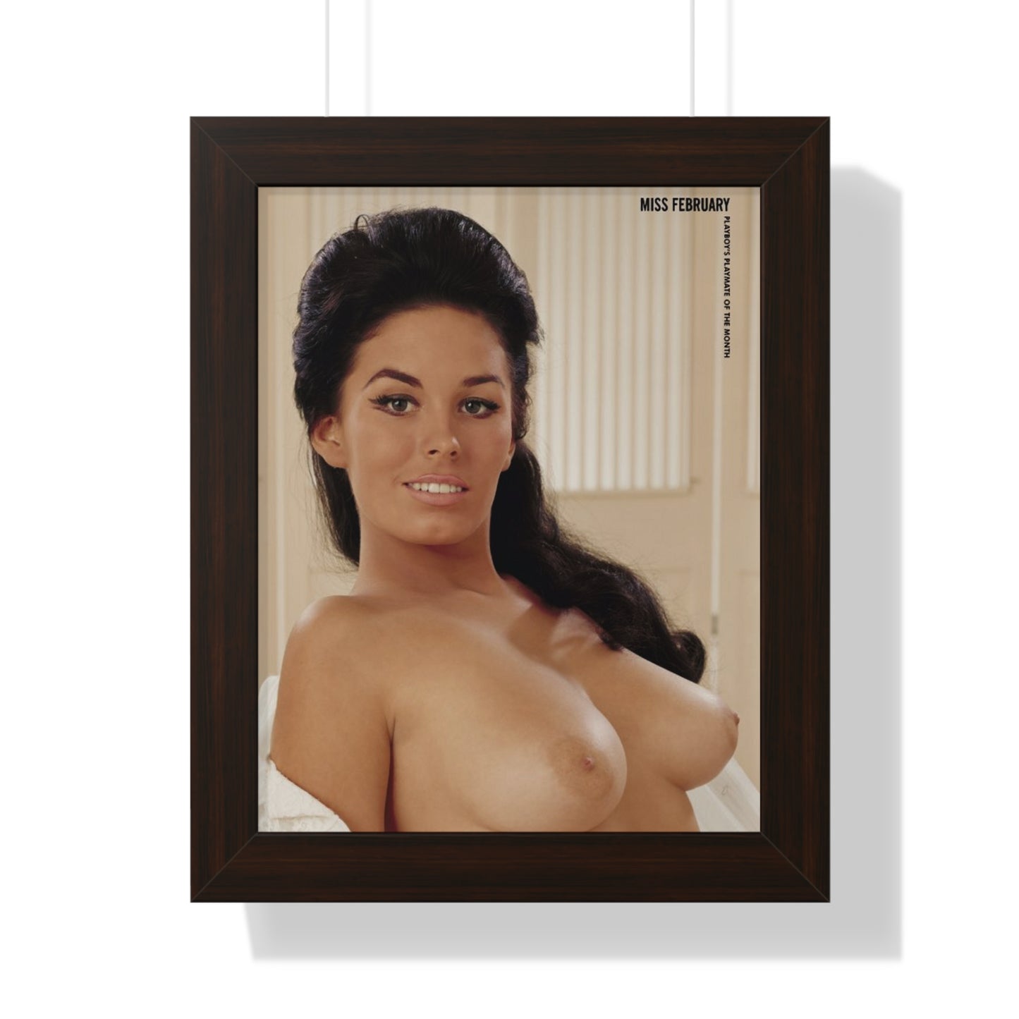 Framed Vertical Poster Playboy Playmate February 1965 Jessica St. George