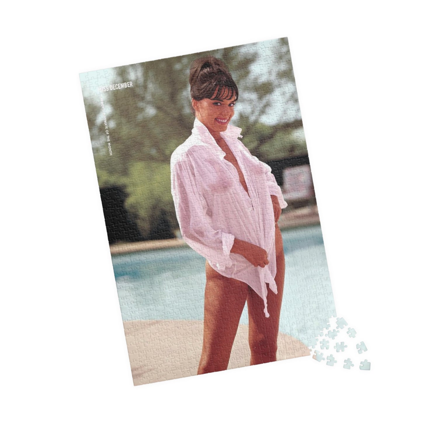 Puzzle (110, 252, 500, 1014-piece) Playboy Playmate December 1964 Jo Collins