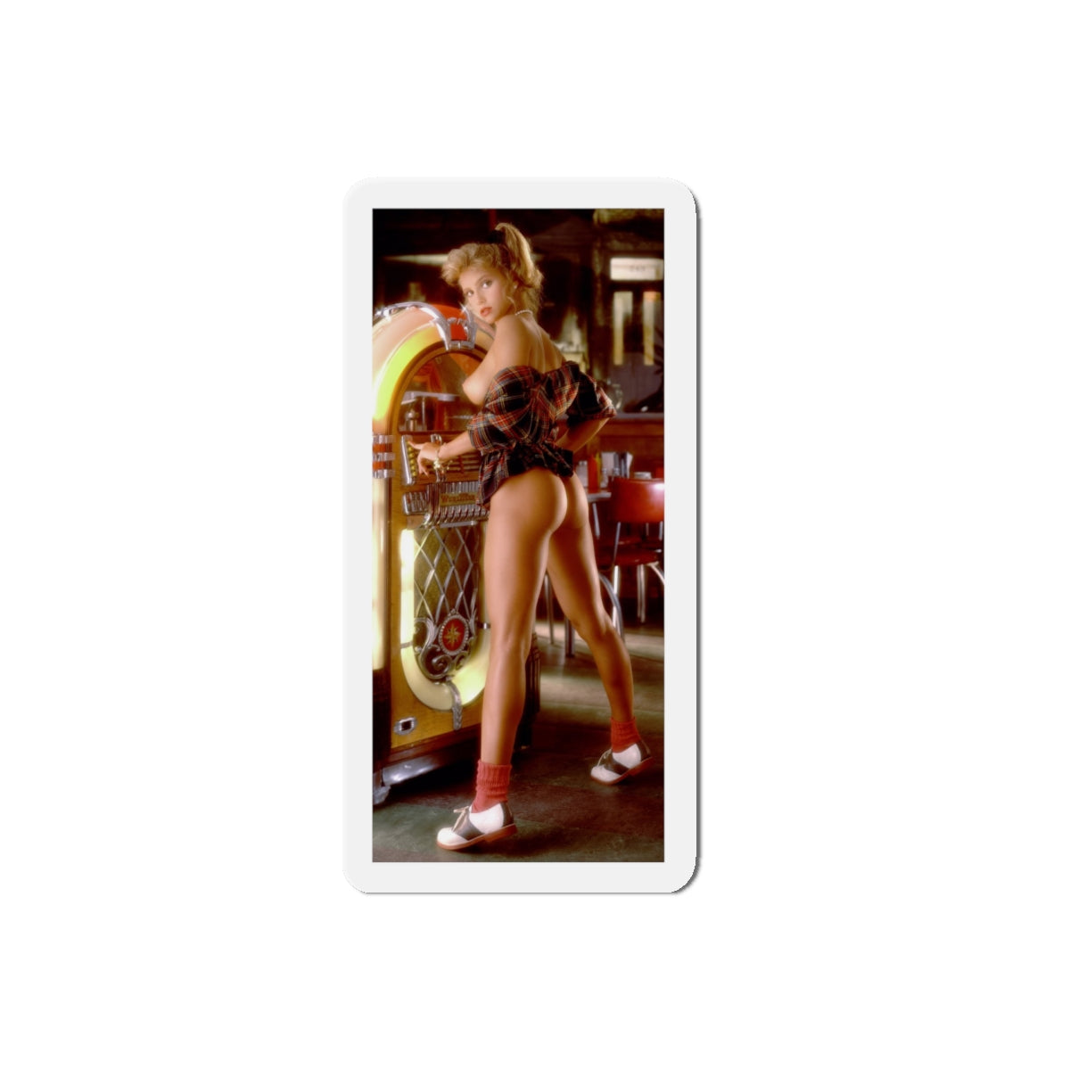 Die-Cut Magnets Playboy Playmate 1991