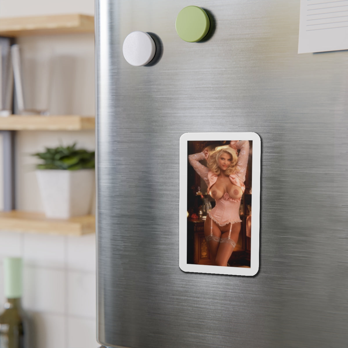 Die-Cut Magnets Playboy Playmate May 1992 Anna Nicole Smith