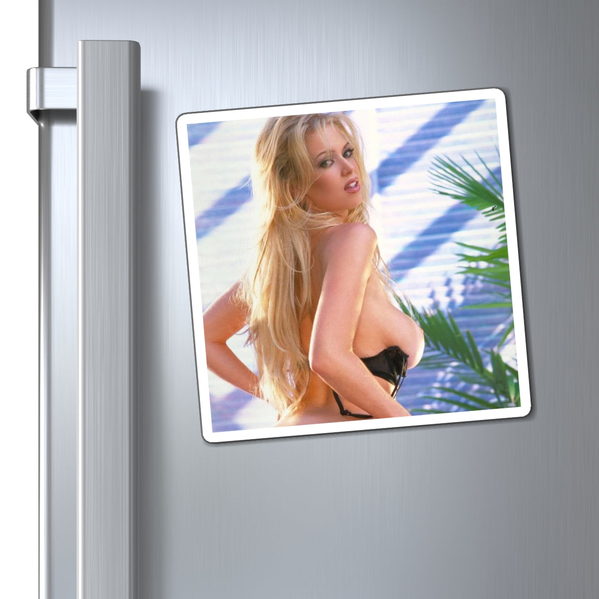 Magnets Pornstar Jenna Jameson Nude