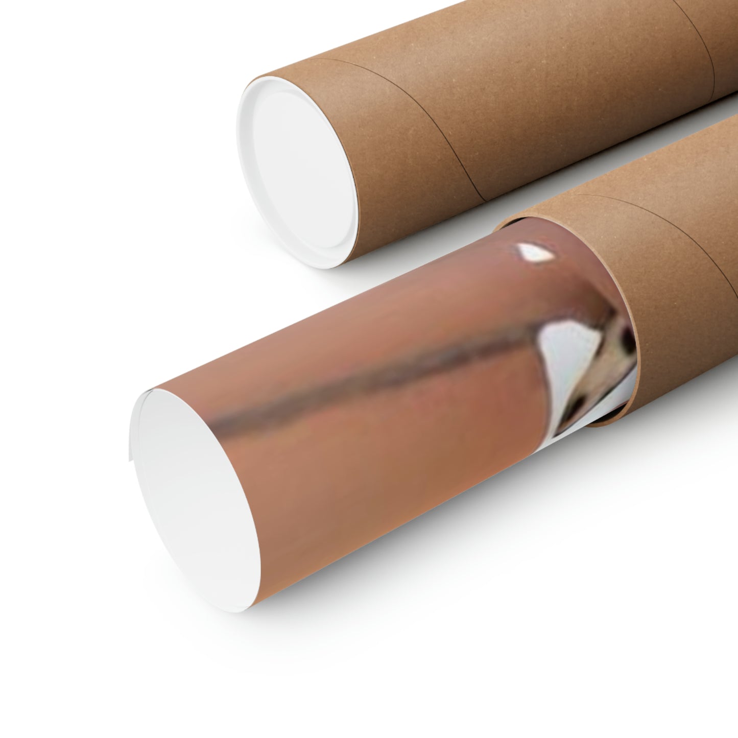 Matte Vertical Posters Anissa Kate Nude