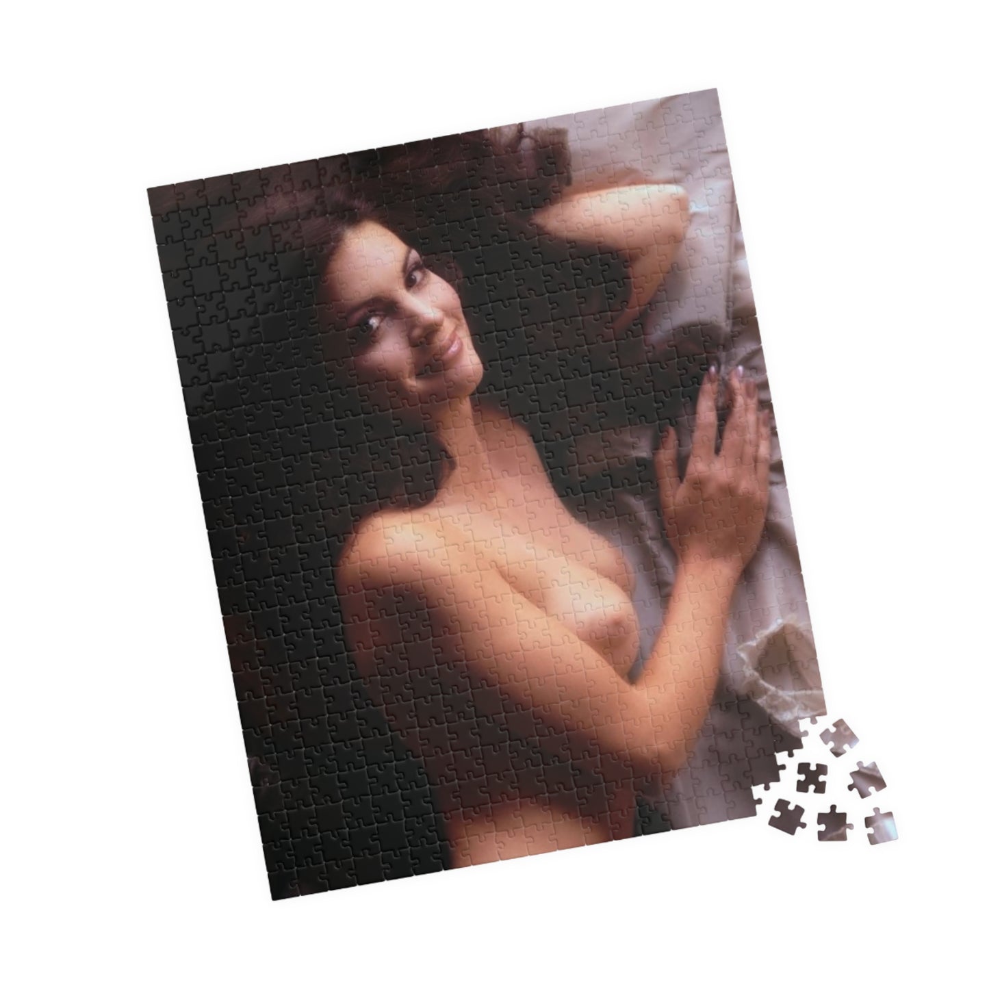 Puzzle (110, 252, 500, 1014-piece) Playboy Playmate August 1973 Phyllis Coleman