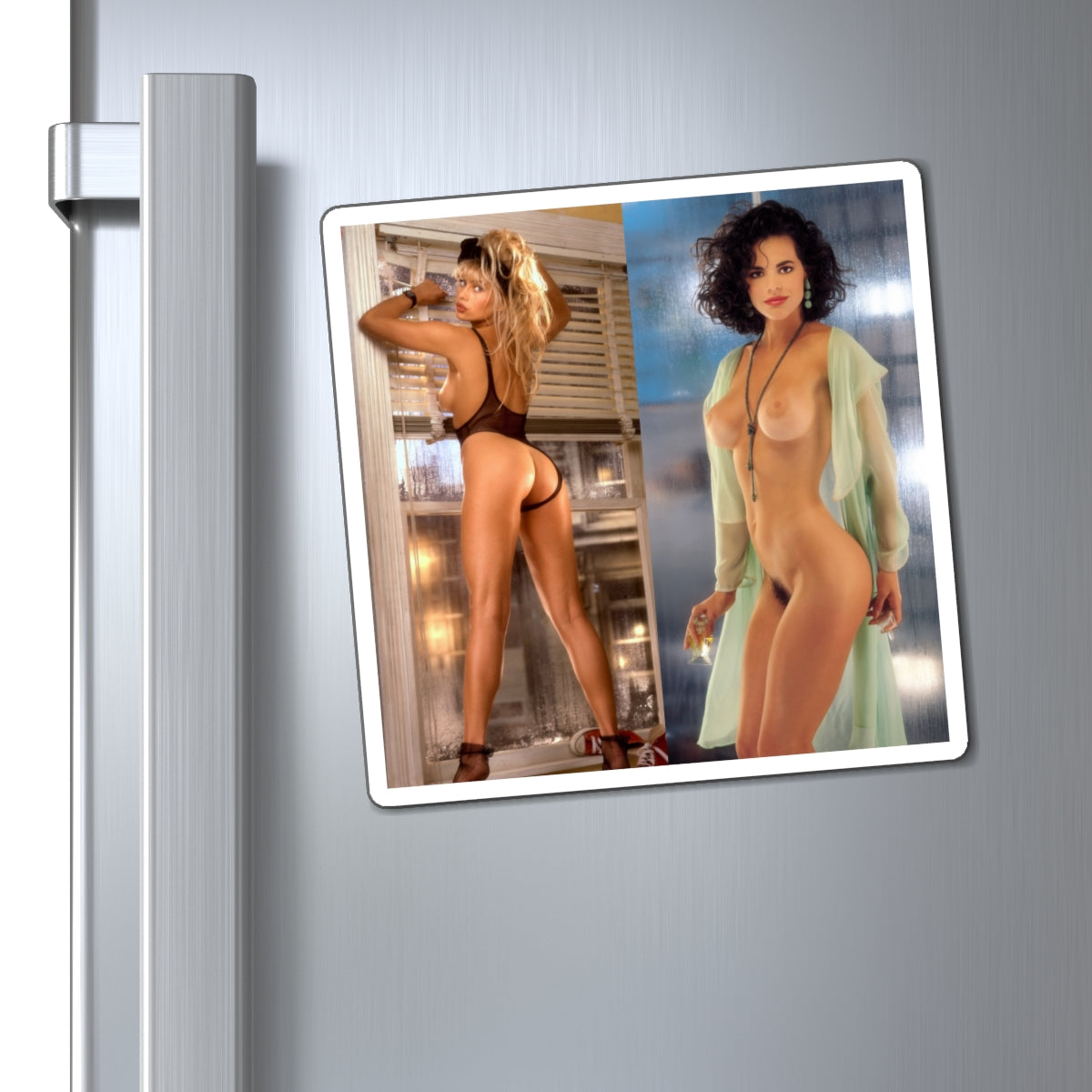 Magnets Playboy Playmates 1993 May June