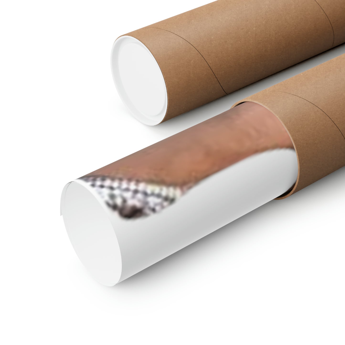 Matte Vertical Posters Anissa Kate Nude