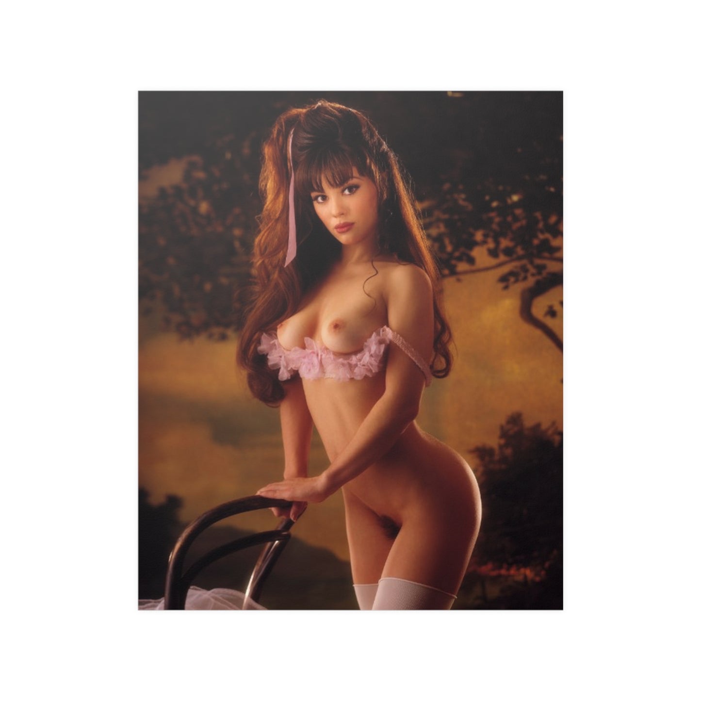 Satin Posters (210gsm) Playboy Playmate February 1995 Lisa Marie Scott