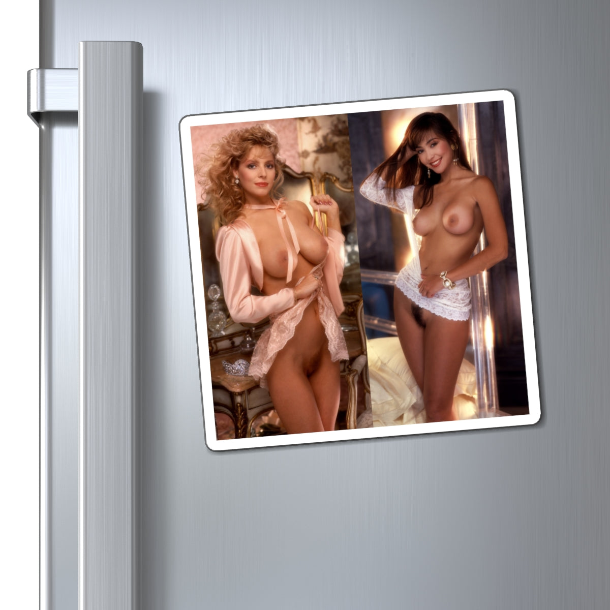 Magnets Playboy Playmates January February 1991