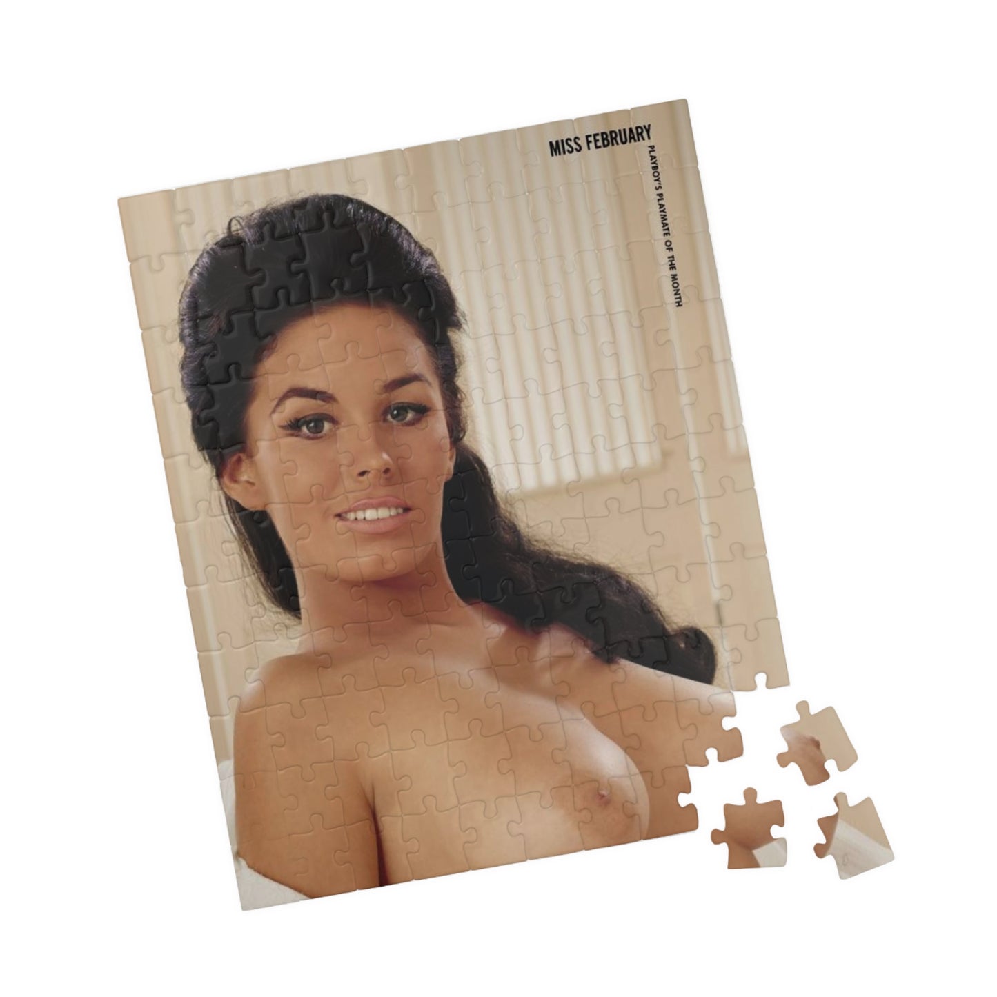 Puzzle (110, 252, 500, 1014-piece) Playboy Playmate Feb 1965 Jessica St. George