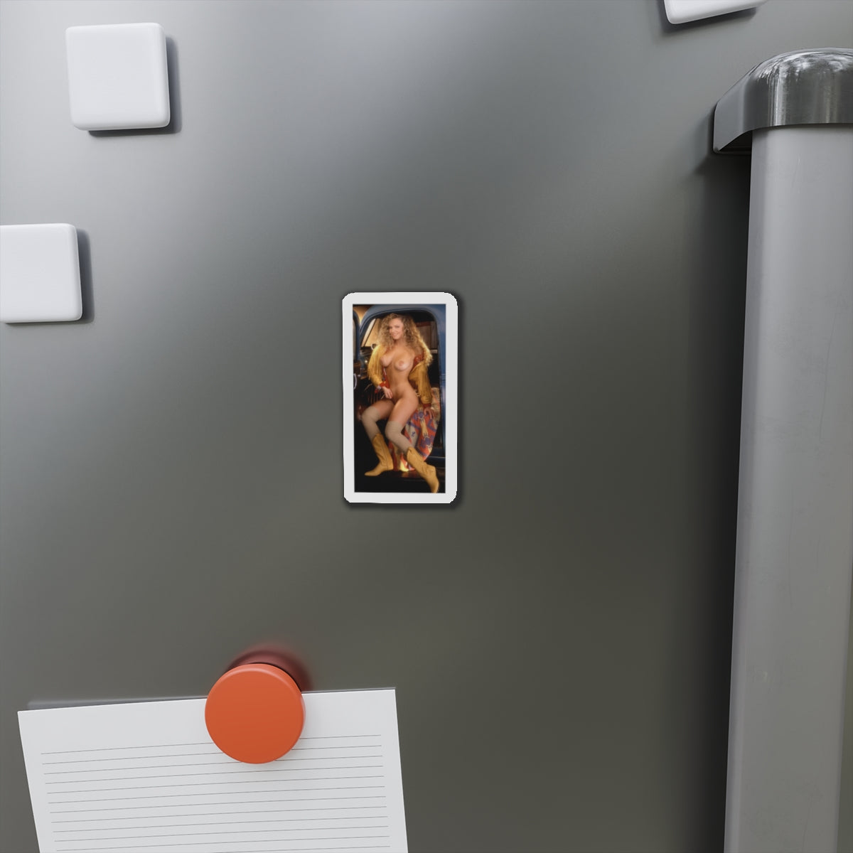 Die-Cut Magnets Playboy Playmate April 1993 Nicole Wood