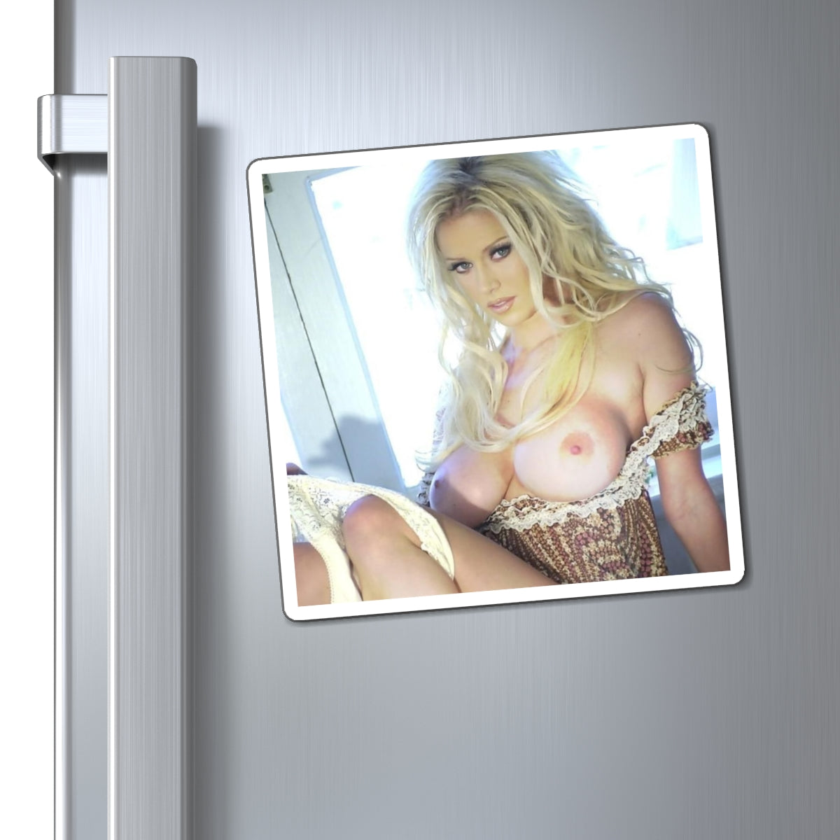 Magnets Pornstar Jenna Jameson Nude
