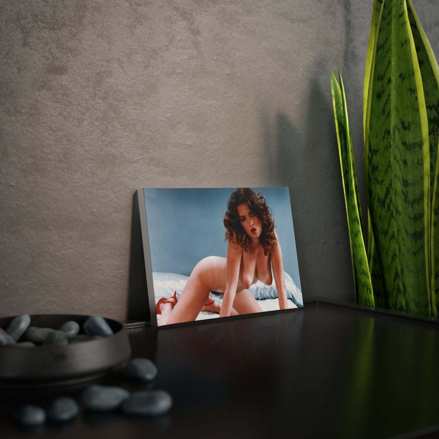 Canvas Photo Tile Retro Porn Star Traci