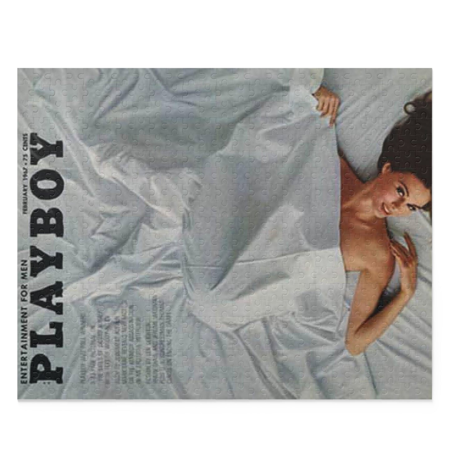 Puzzle (120, 252, 500-Piece) Playboy Cover February 1967