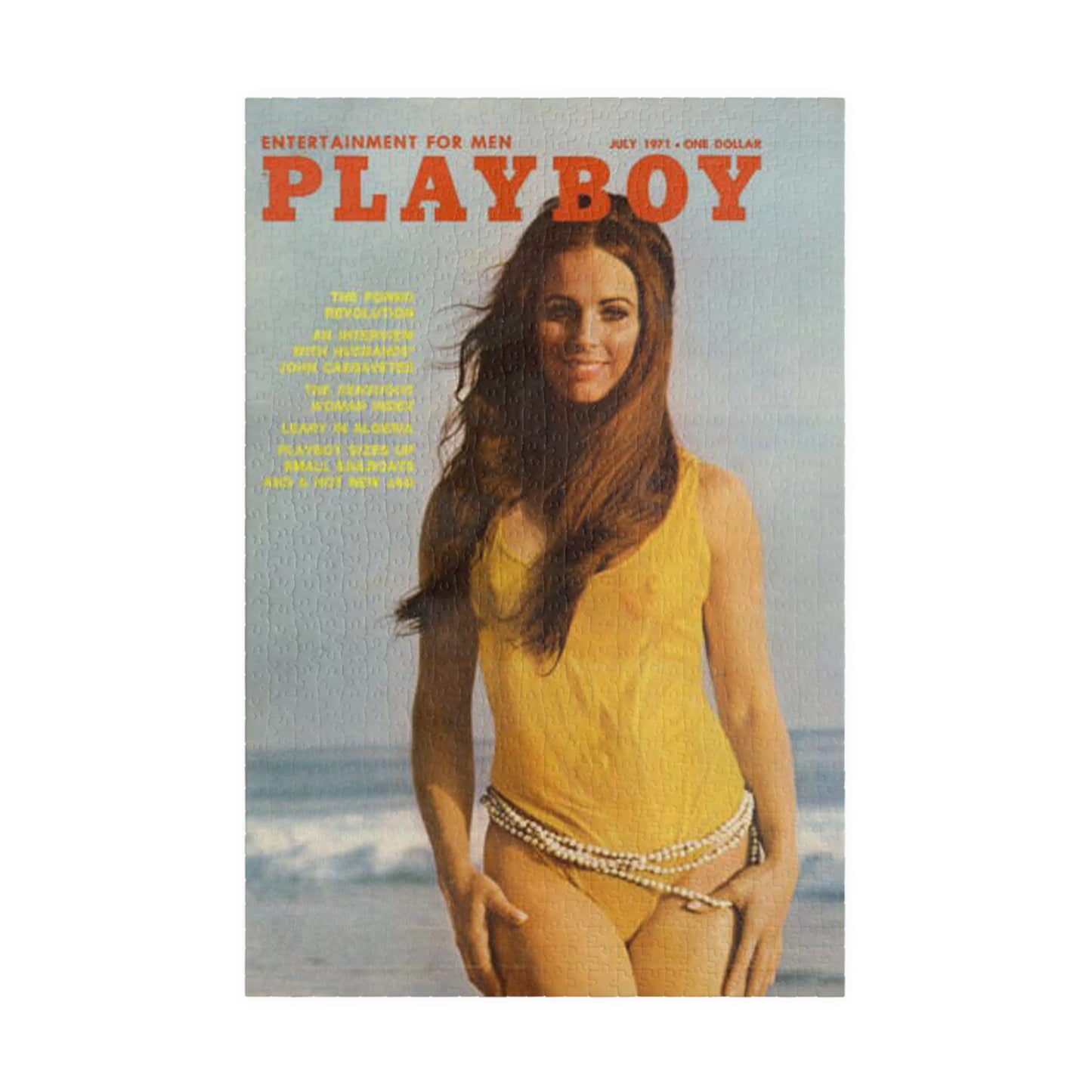 Puzzle (110, 252, 500, 1014-piece) Playboy Cover July 1971