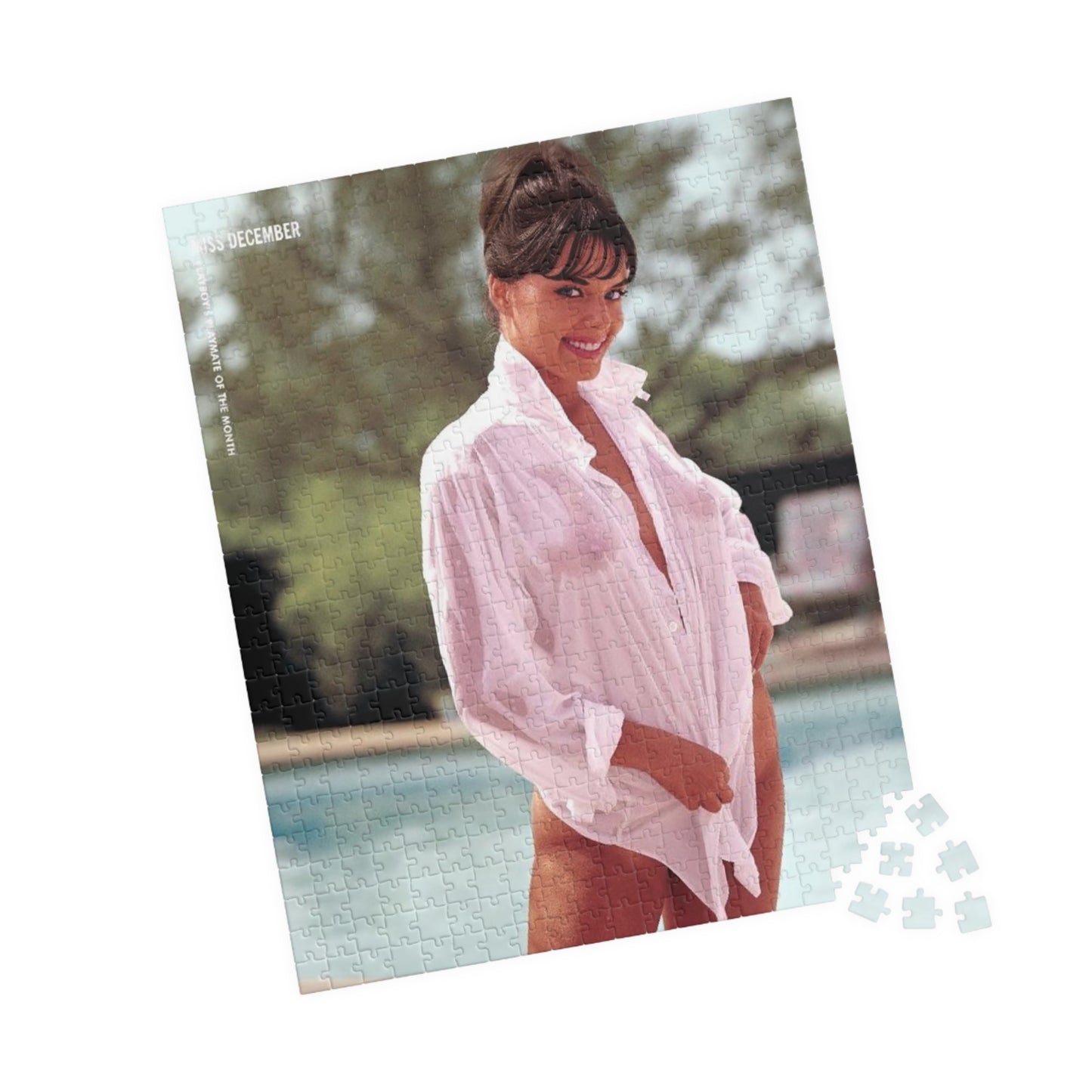 Puzzle (110, 252, 500, 1014-piece) Playboy Playmate December 1964 Jo Collins