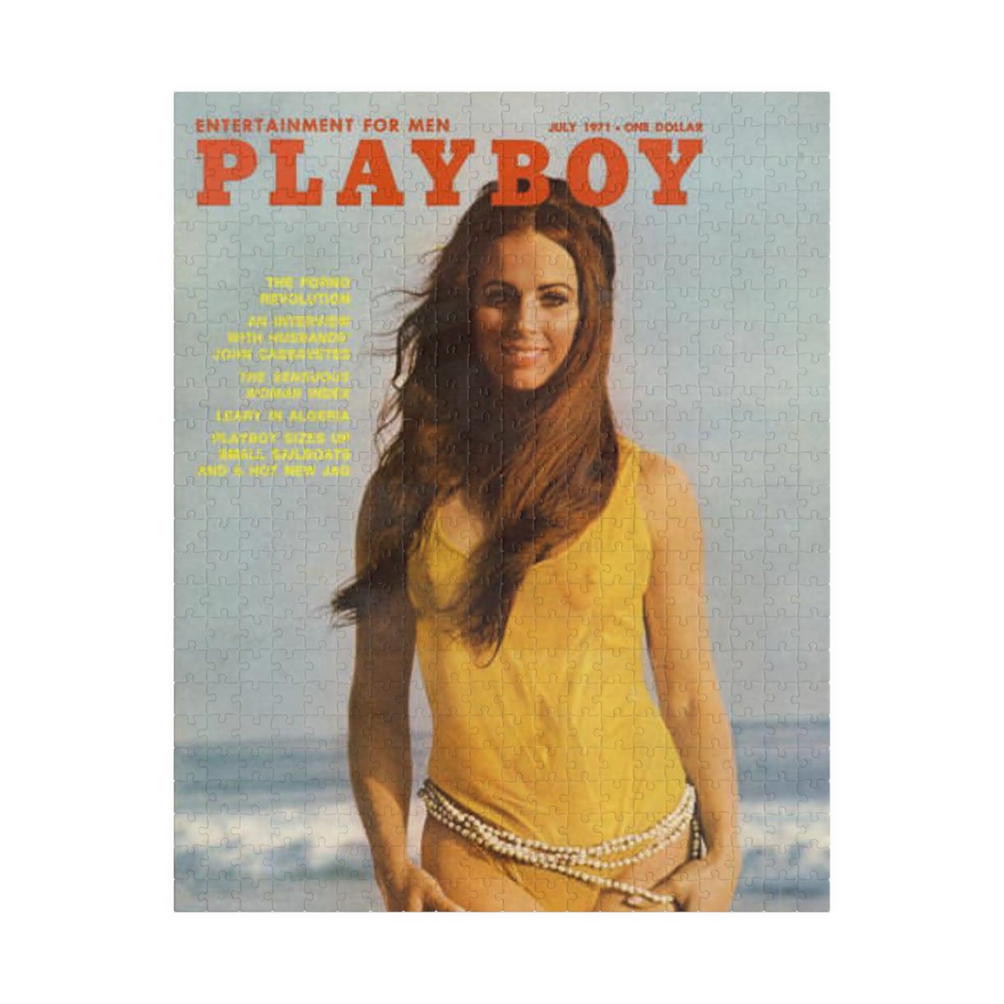 Puzzle (110, 252, 500, 1014-piece) Playboy Cover July 1971