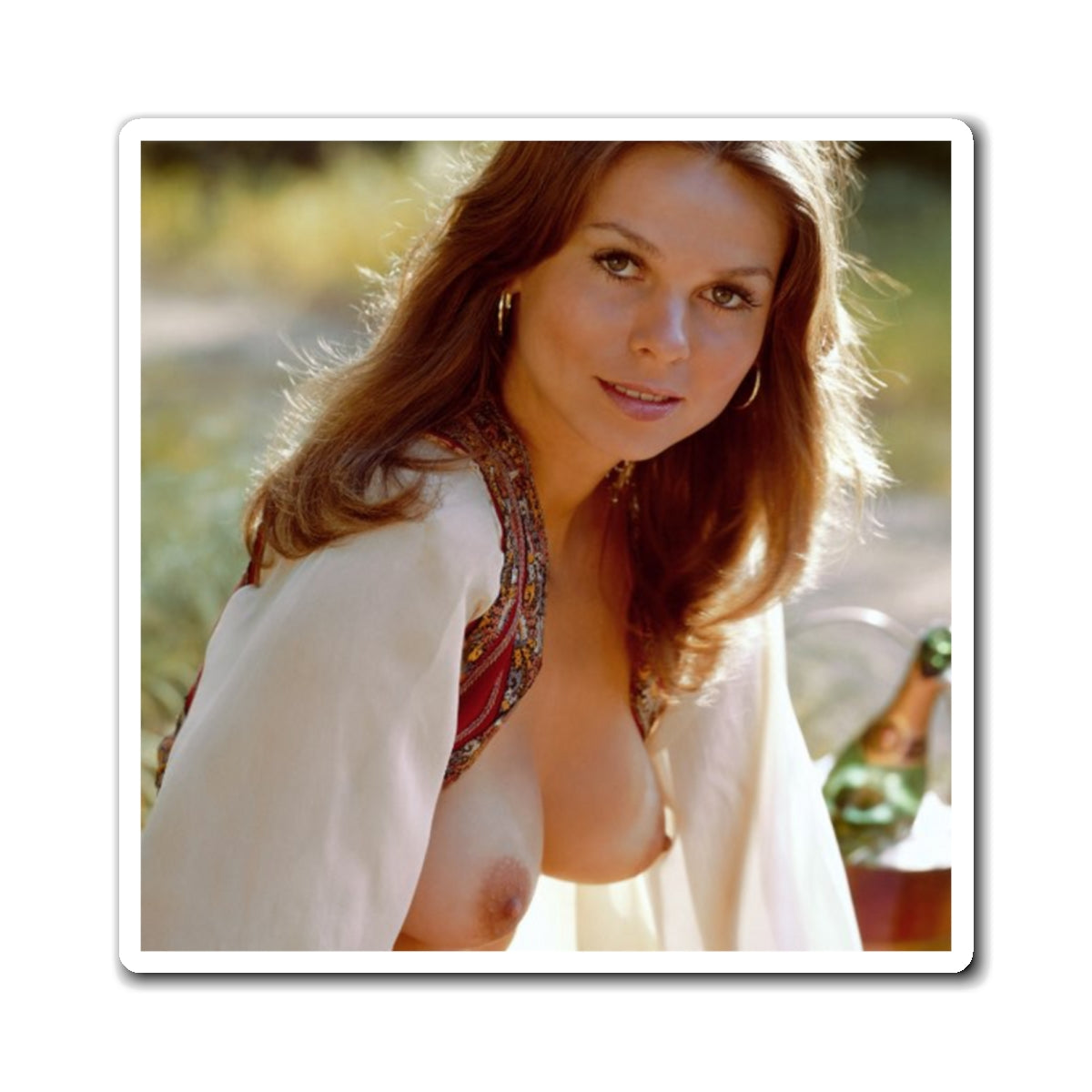 Magnets Playboy Playmate October 1973 Valerie Lane