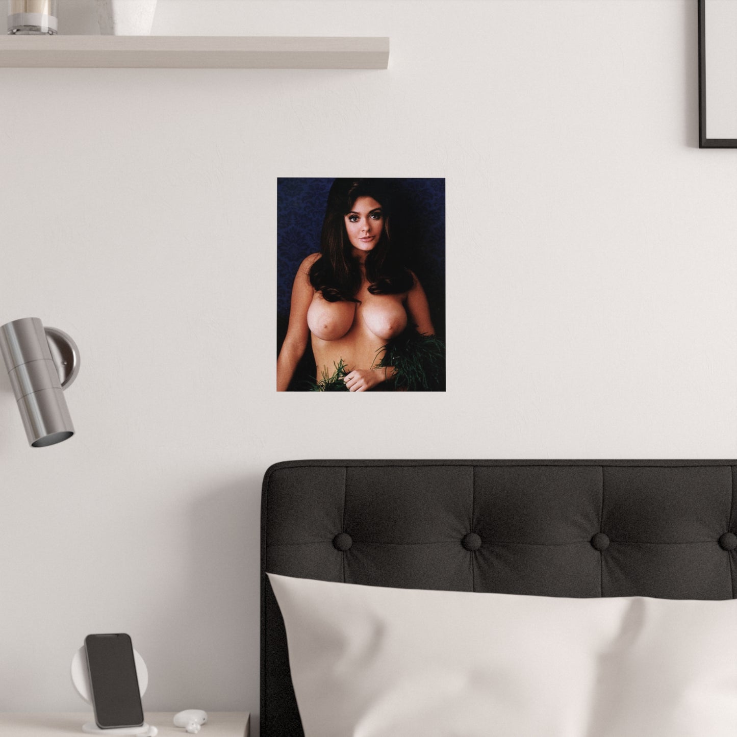 Satin Posters (210gsm) Playboy Playmate Cynthia Myers Nude