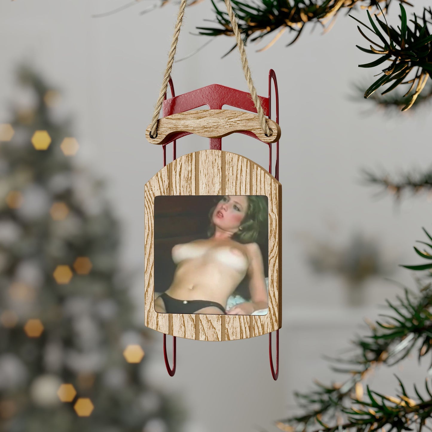 Sled Ornaments Traci Lords Nude