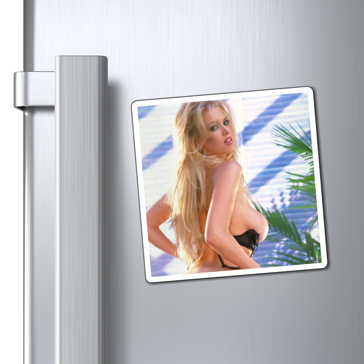 Magnets Pornstar Jenna Jameson Nude