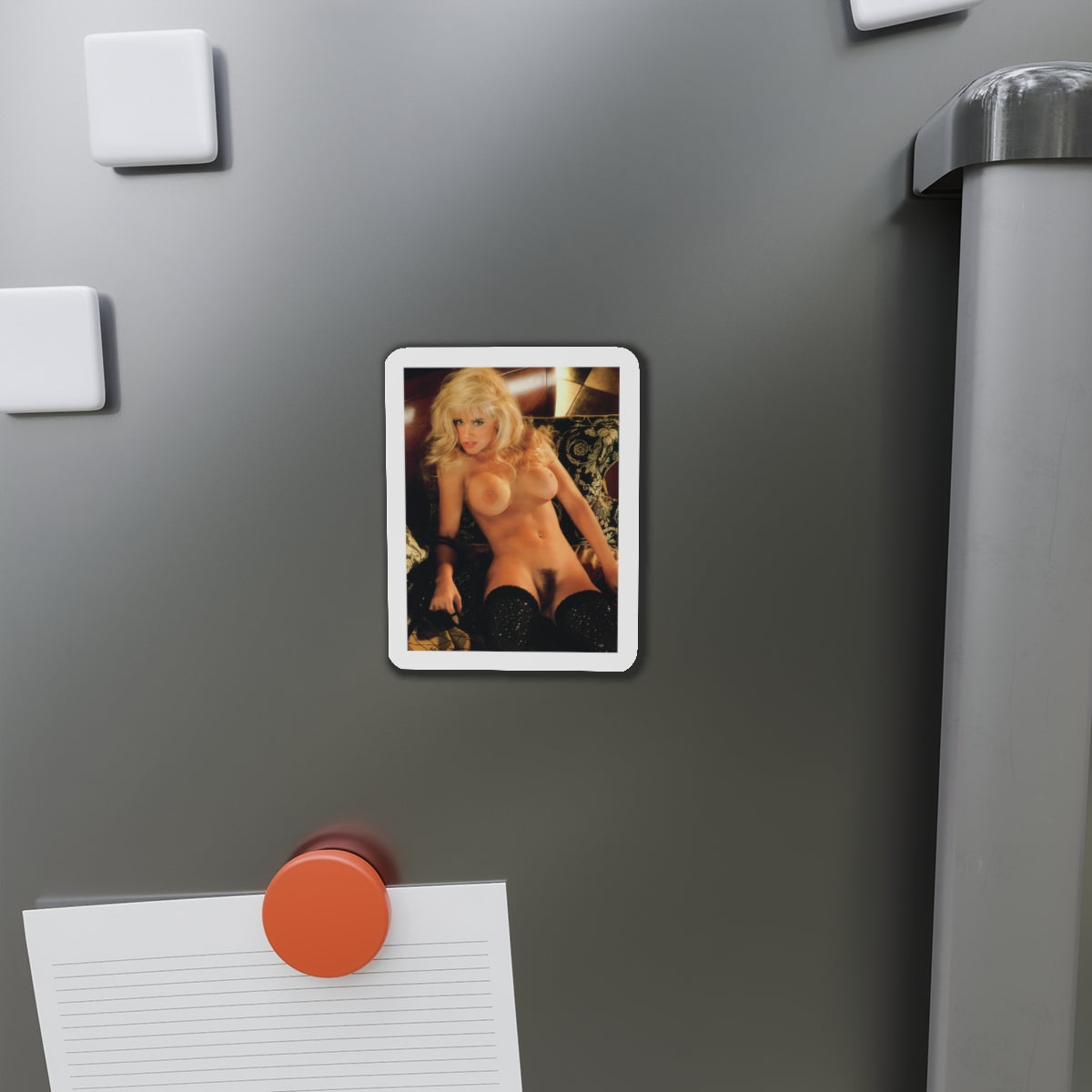Die-Cut Magnets Playboy Playmate October 1993 Jenny McCarthy