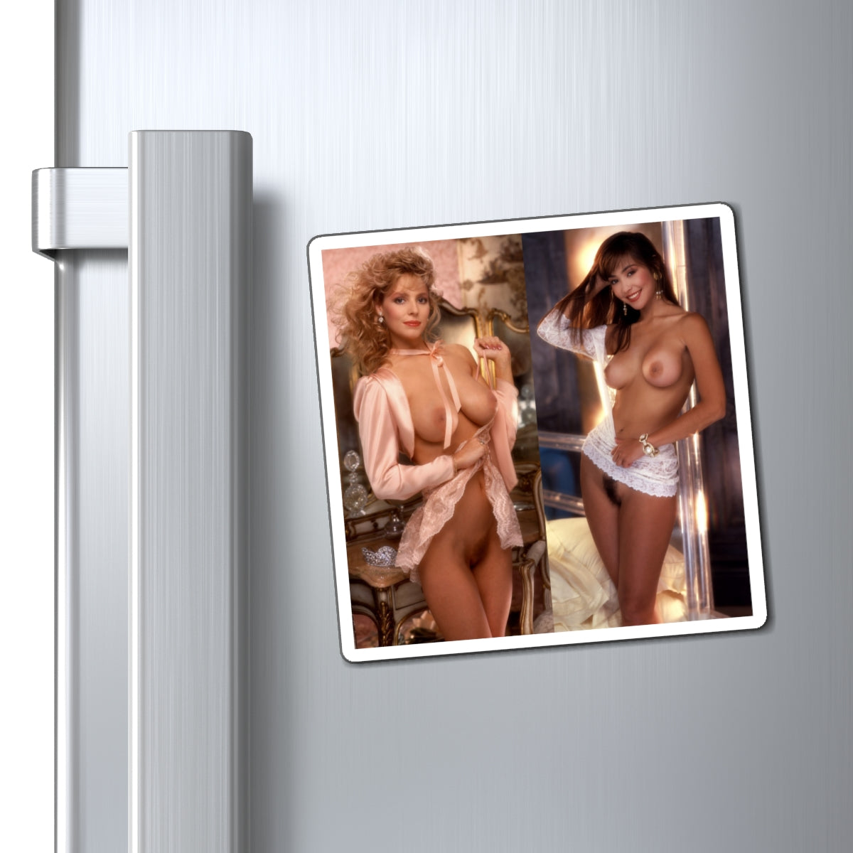 Magnets Playboy Playmates January February 1991