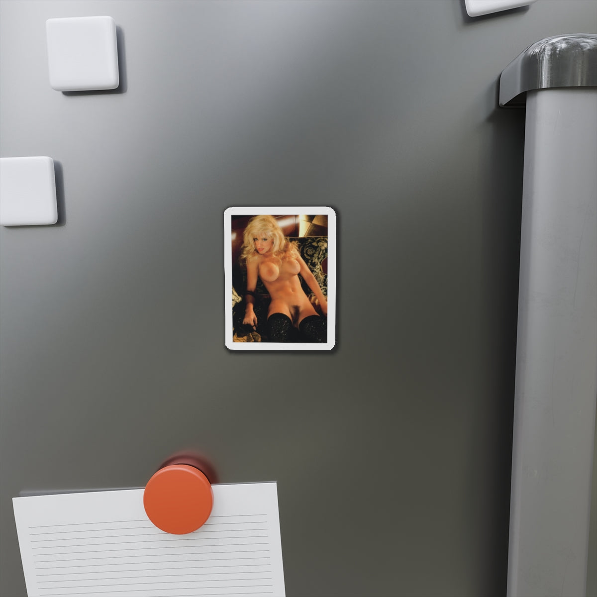 Die-Cut Magnets Playboy Playmate October 1993 Jenny McCarthy