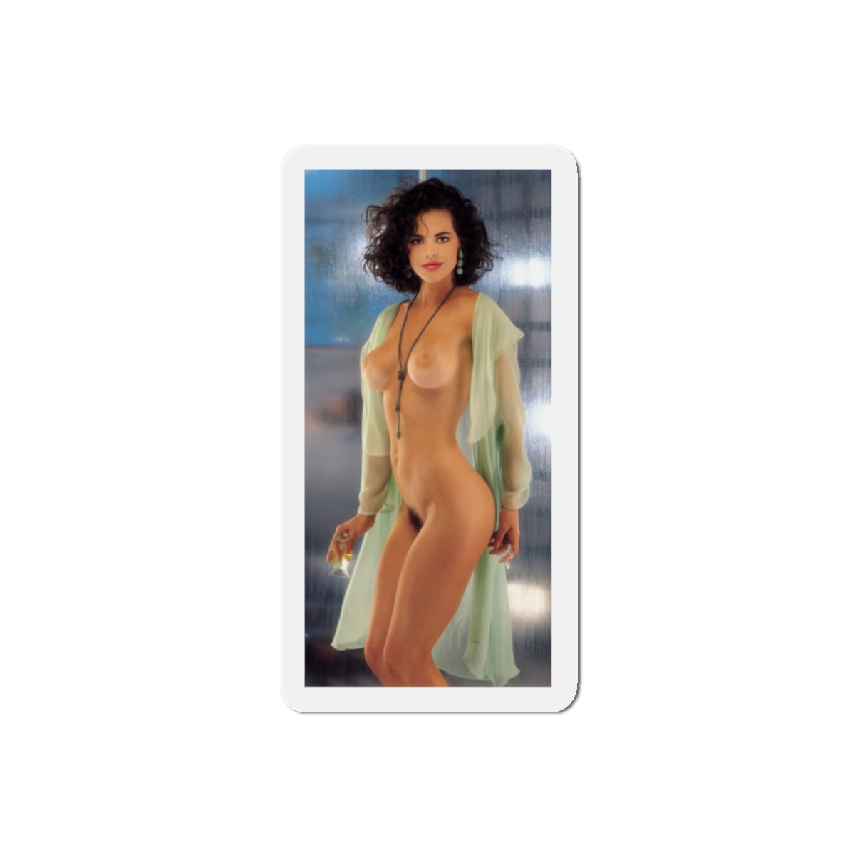 Die-Cut Magnets Playboy Playmate June 1993 Alesha Marie Oreskovich