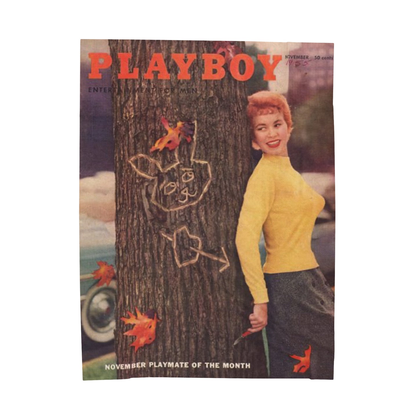 Velveteen Plush Blanket Magazine Cover November 1955