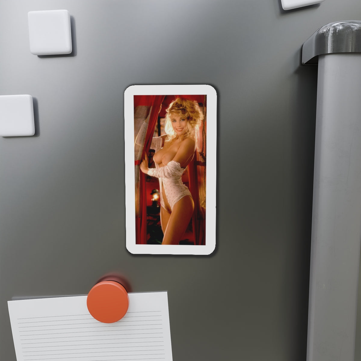 Die-Cut Magnets Playboy Playmate October 1992 Tiffany Sloan
