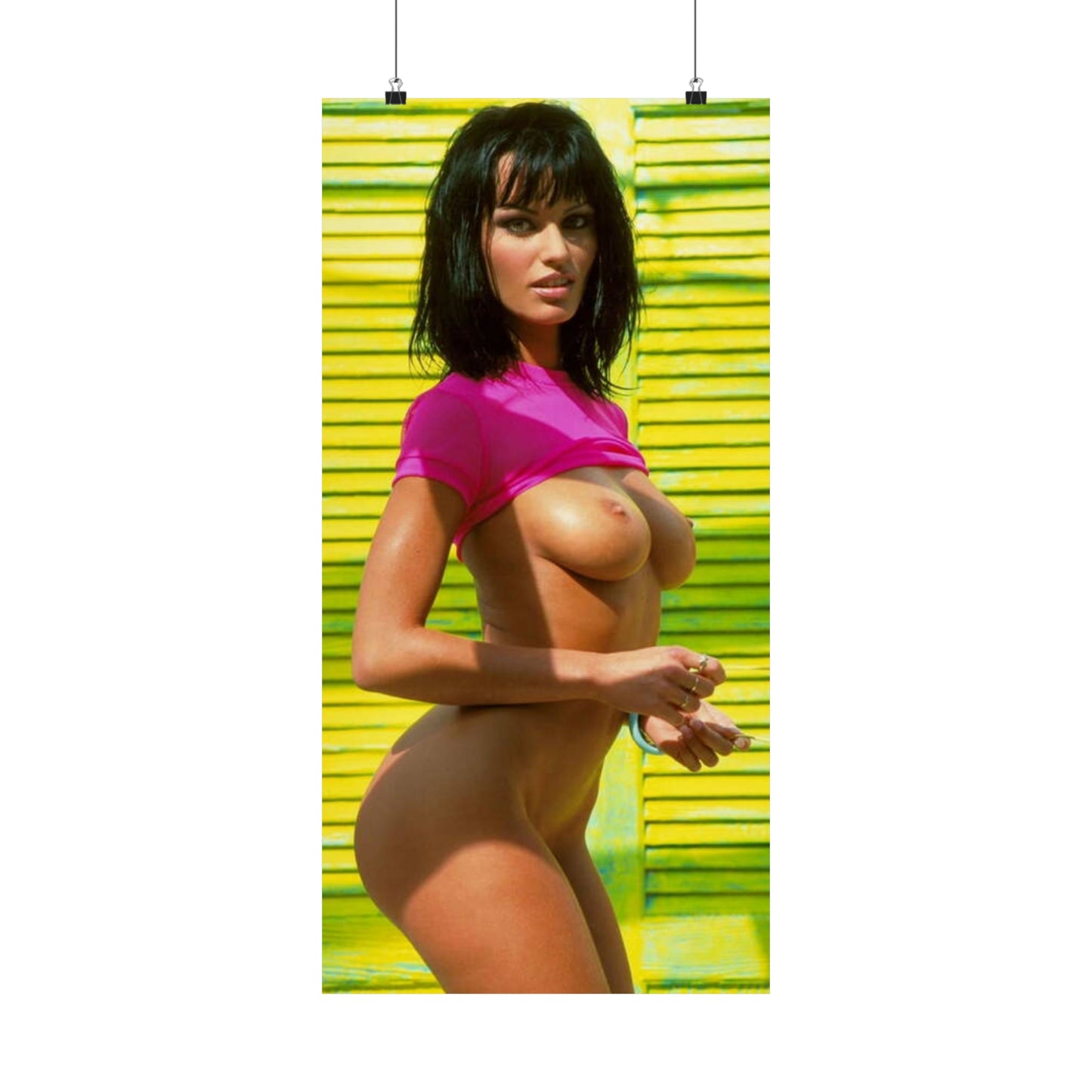 Matte Vertical Posters Retro Pornstar Anita Blond