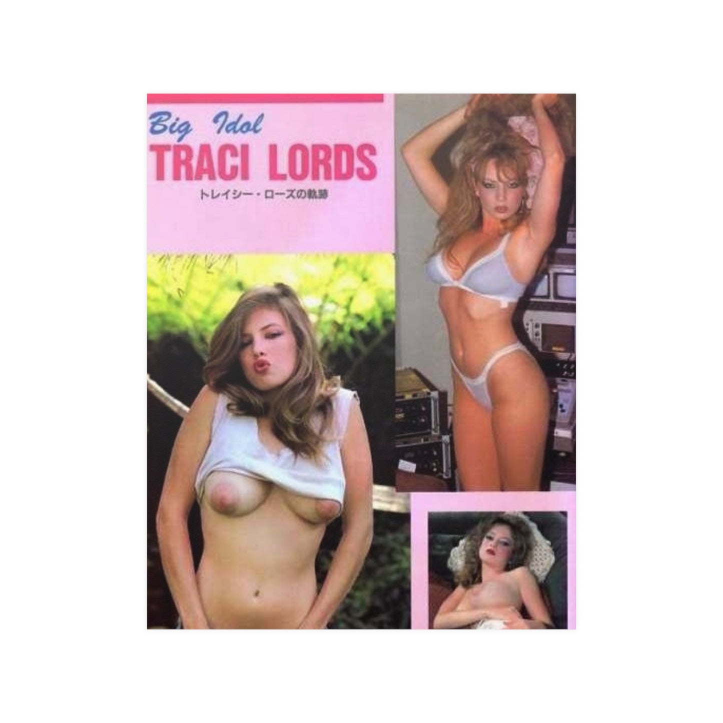 Satin Posters (210gsm) Traci Lords Nude