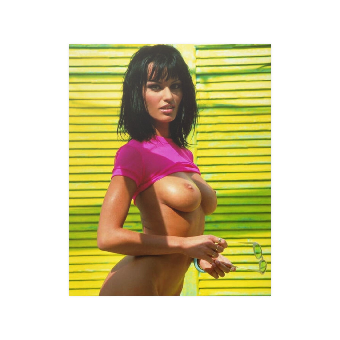 Satin Posters (210gsm) Retro Pornstar Anita Blond