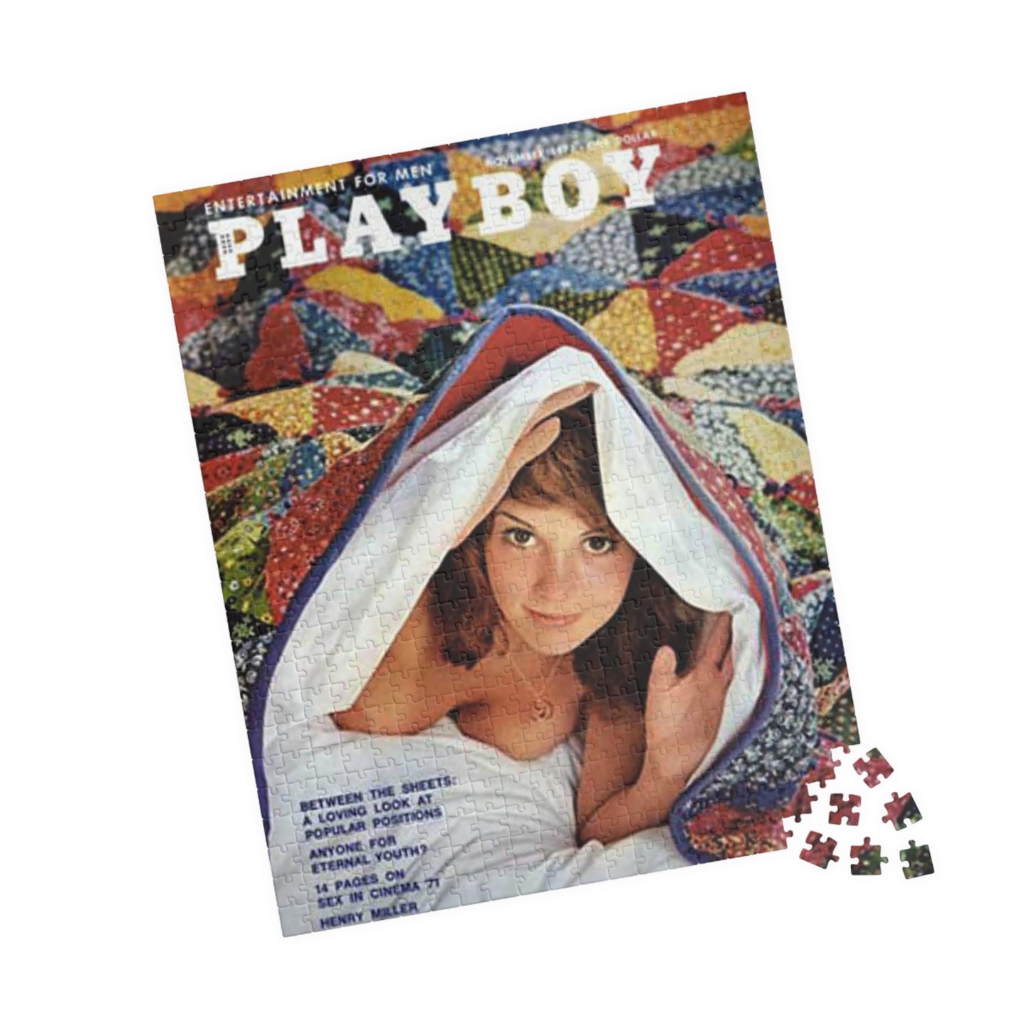 Puzzle (110, 252, 500, 1014-piece) Playboy Cover November 1971