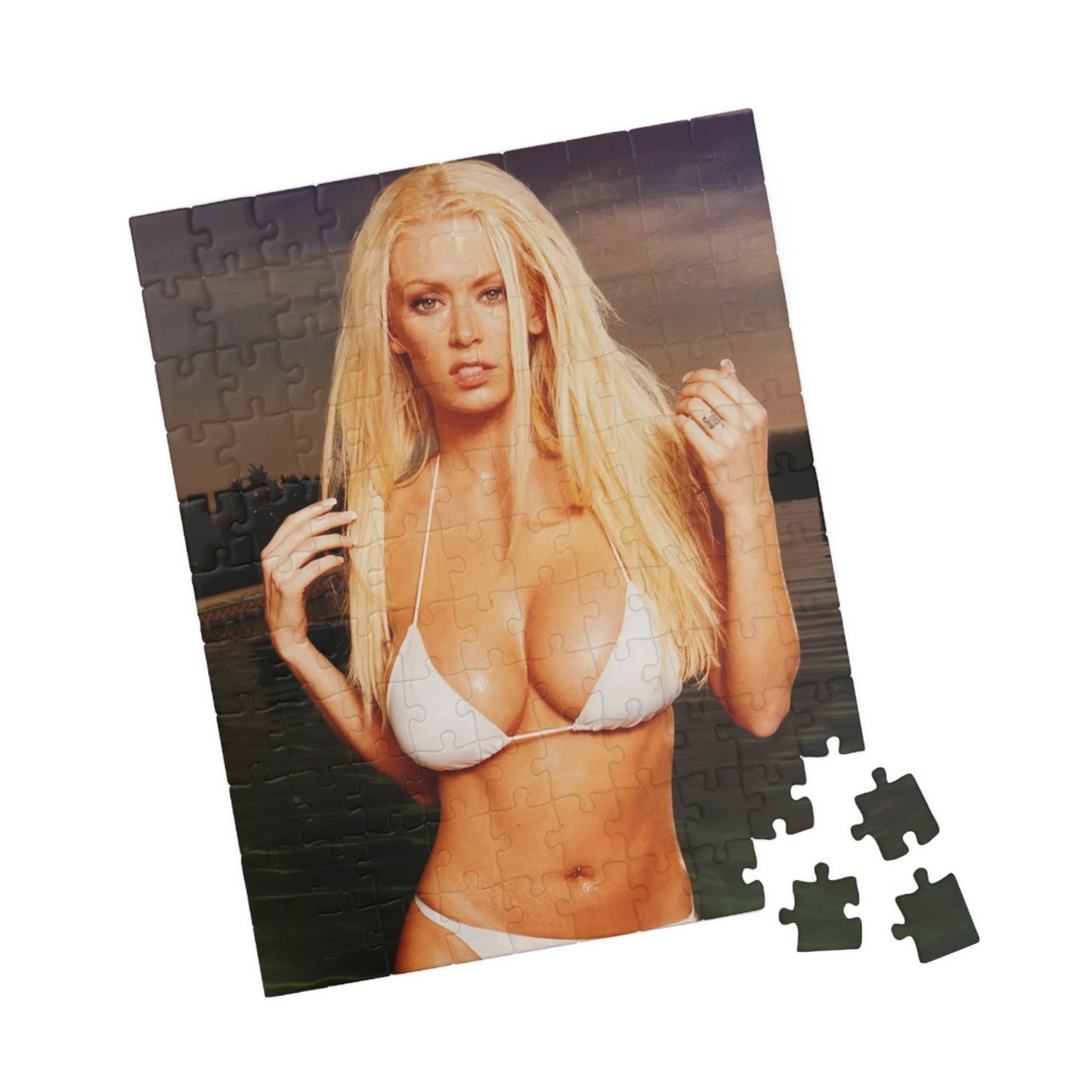 Puzzle (110, 252, 520, 1014-piece) Jenna Jameson