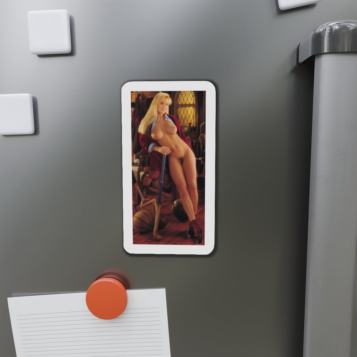 Die-Cut Magnets Playboy Playmate October 1993 Jenny McCarthy