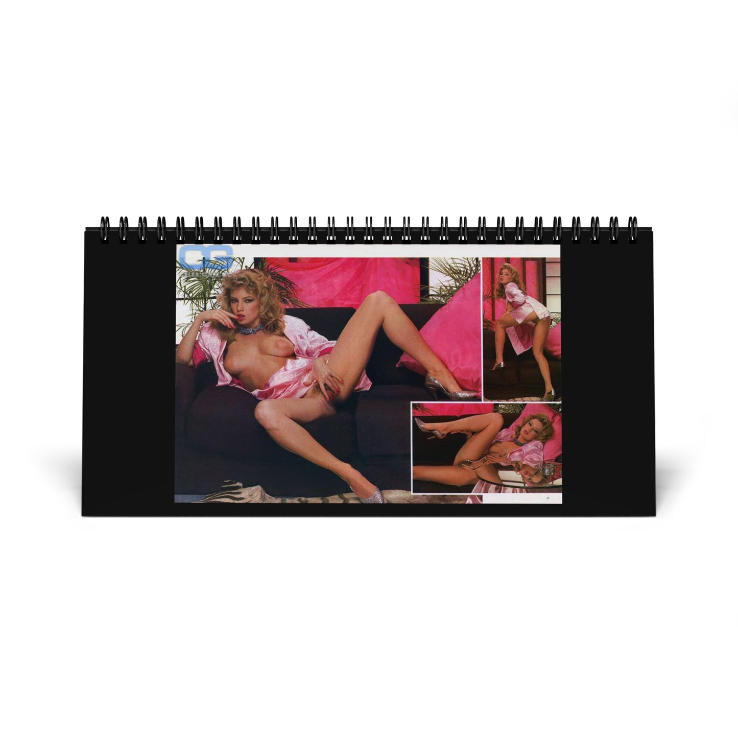Desktop Calendar (2026 grid) Traci Lords Nude