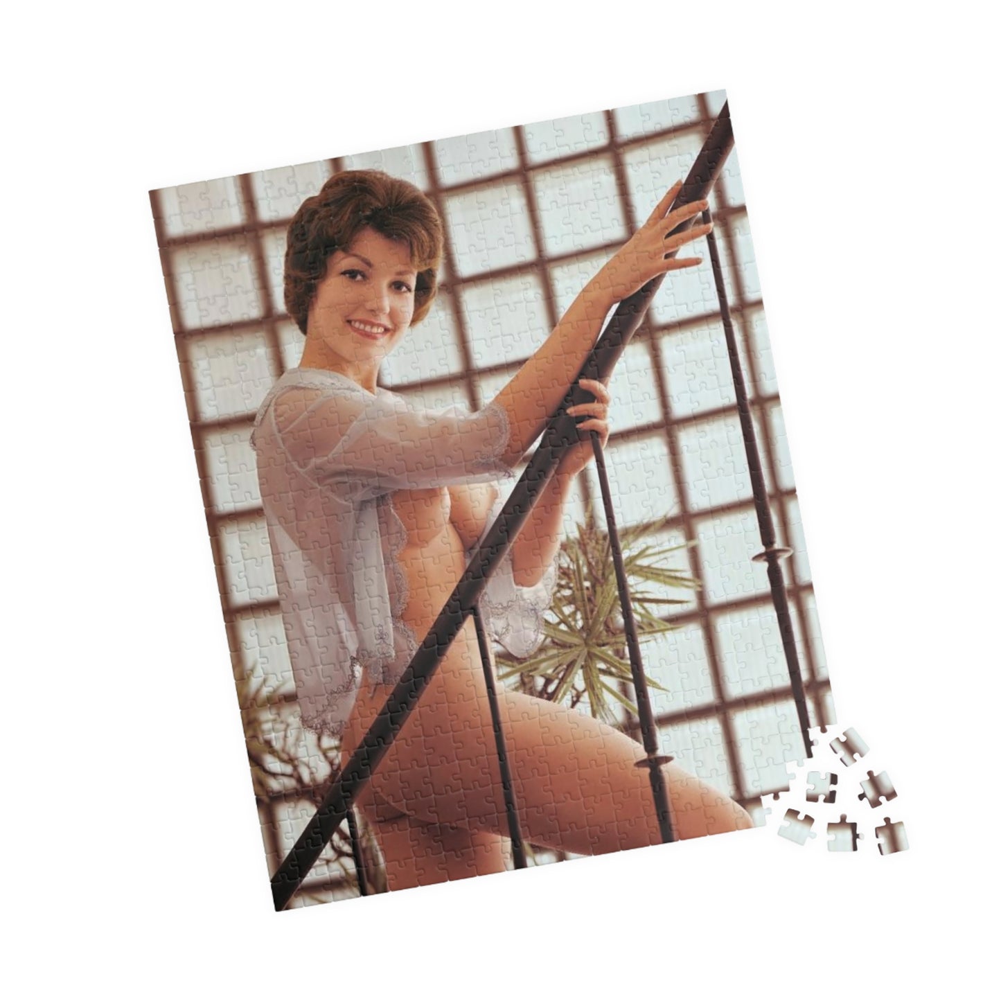 Puzzle (110, 252, 500, 1014-piece) Playboy Playmate September 1960 Ann Davis