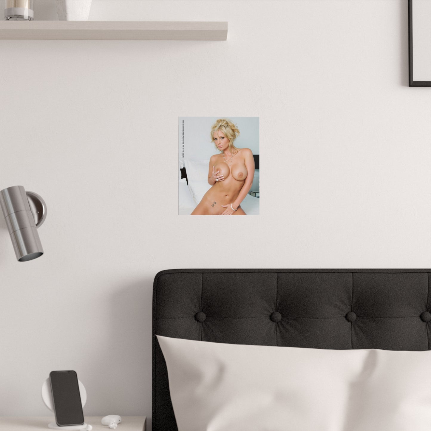 Satin Posters (210gsm) Penthouse Pet November 2010 Phoenix Marie