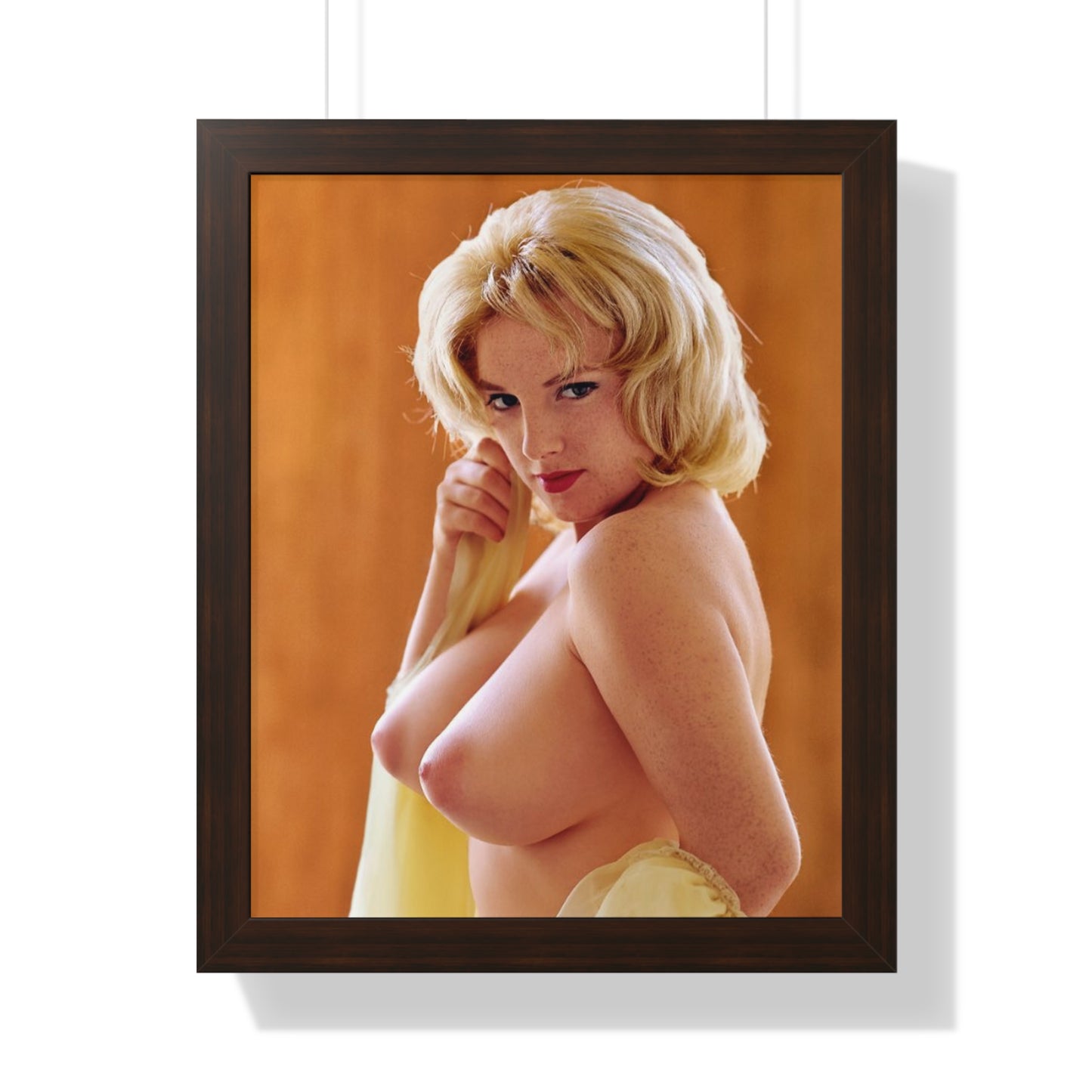 Framed Vertical Poster Playboy Playmate March 1962 Pamela Gordon