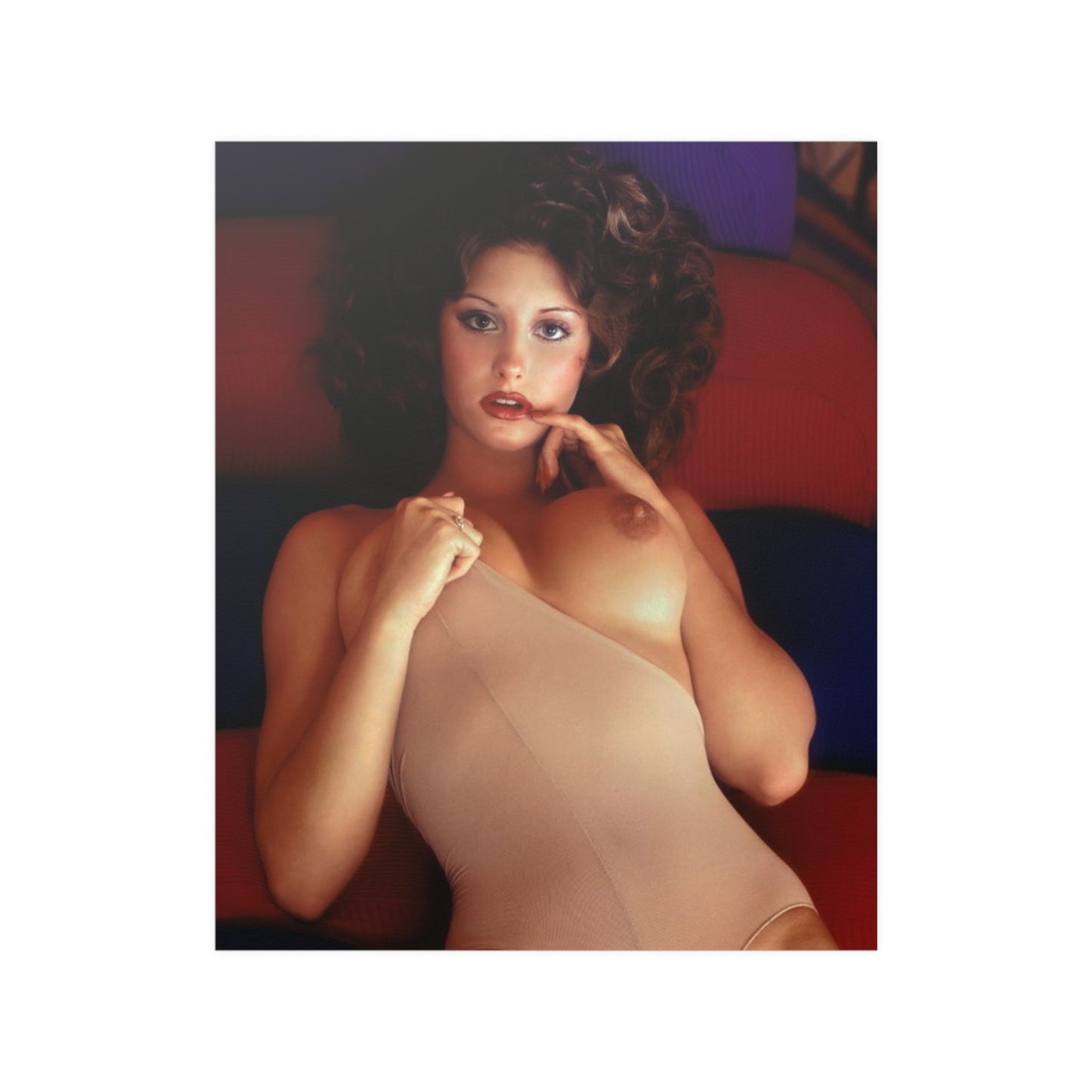 Satin Posters (210gsm) Playboy Playmate February 1975 Laura Misch