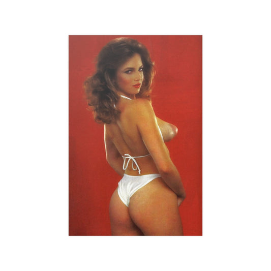 Satin Posters (210gsm) Retro Adult Star 1980s