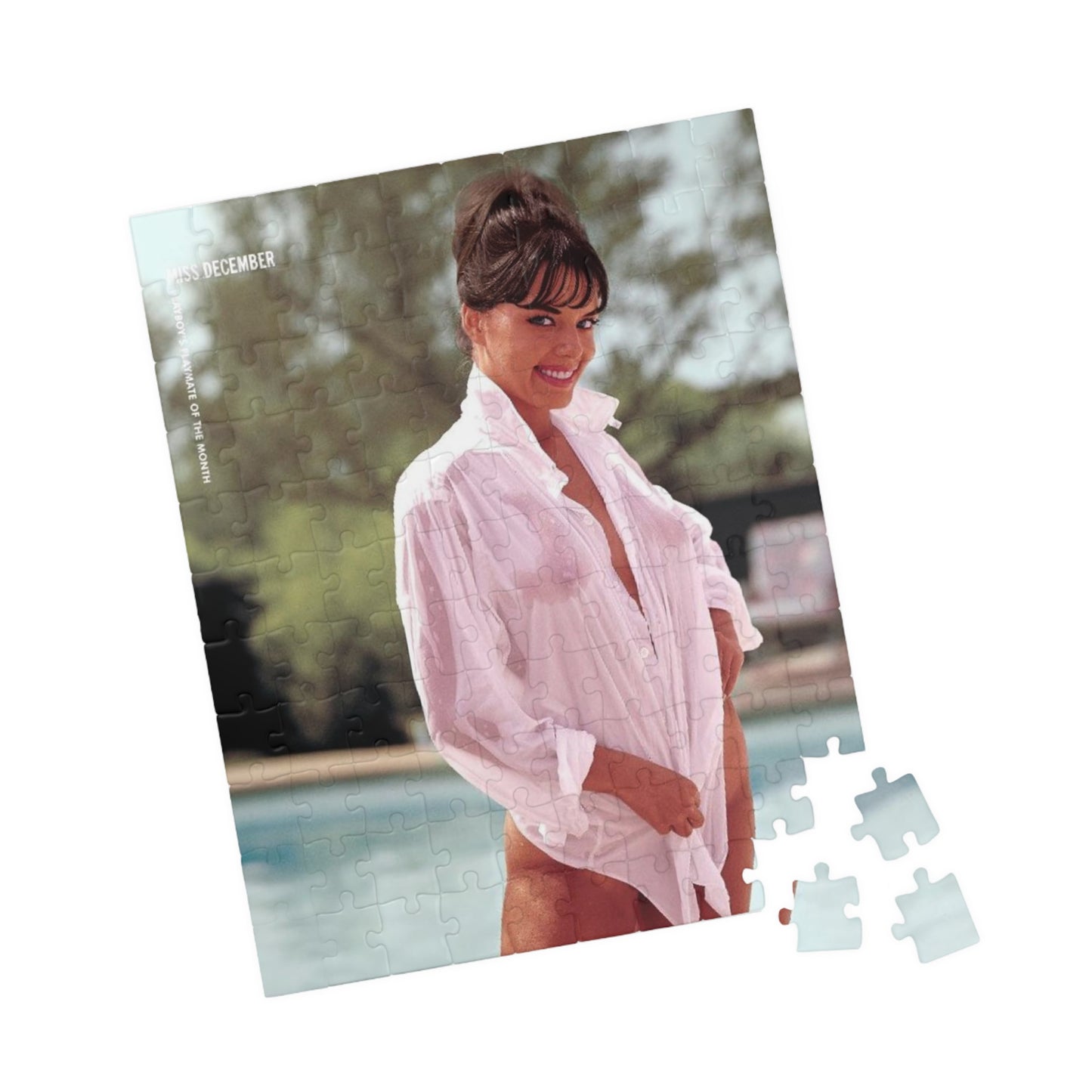 Puzzle (110, 252, 500, 1014-piece) Playboy Playmate December 1964 Jo Collins