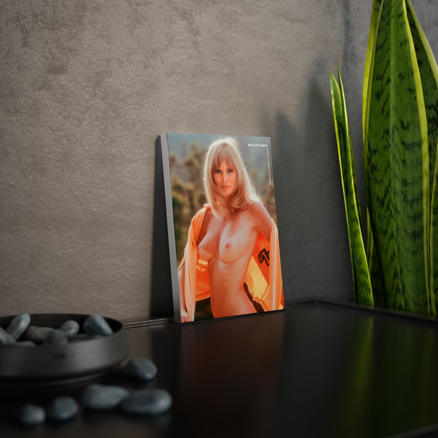Canvas Photo Tile Playboy Playmate September 1973 Geri Glass