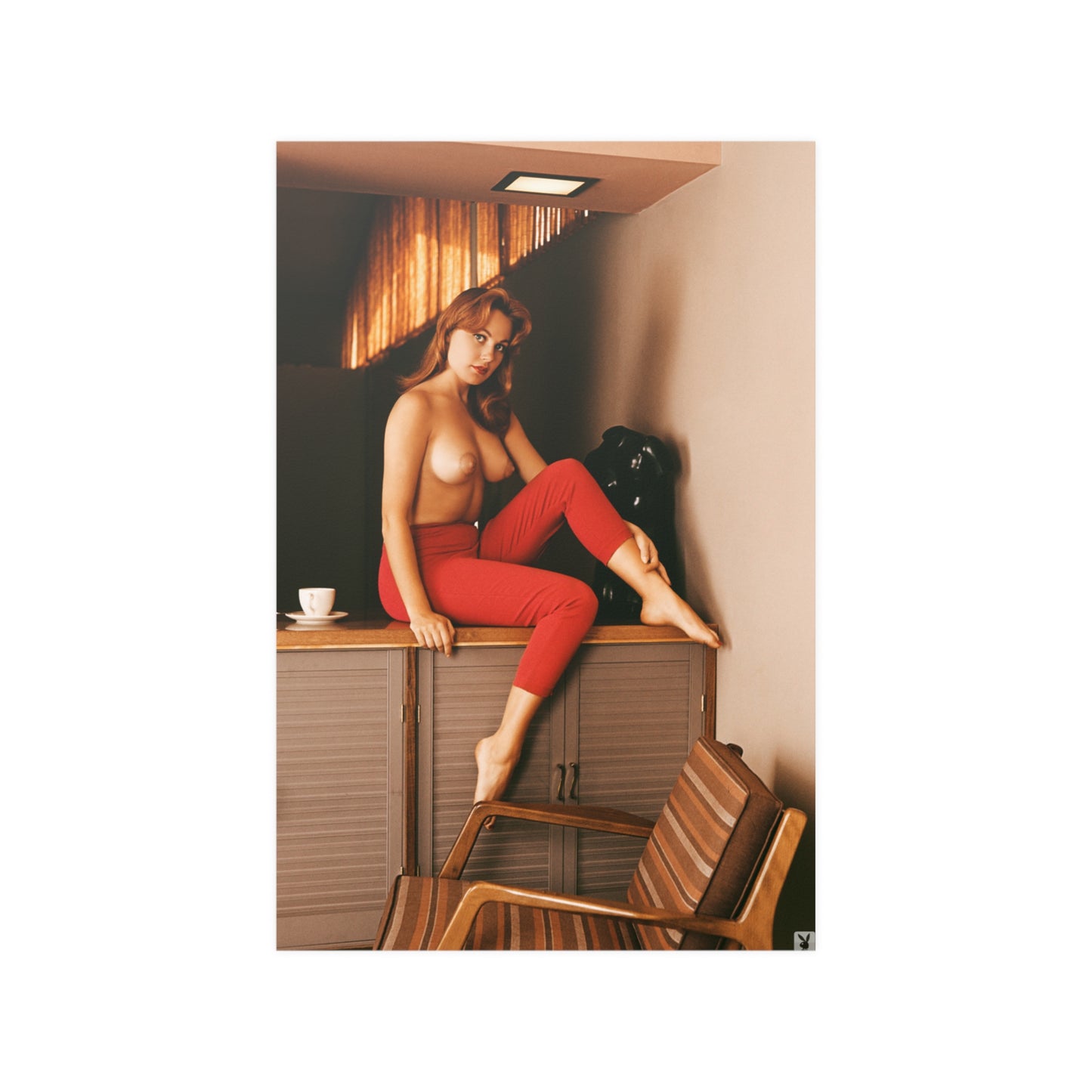 Satin Posters (210gsm) Playmate July 1960 Teddi Smith nude #4