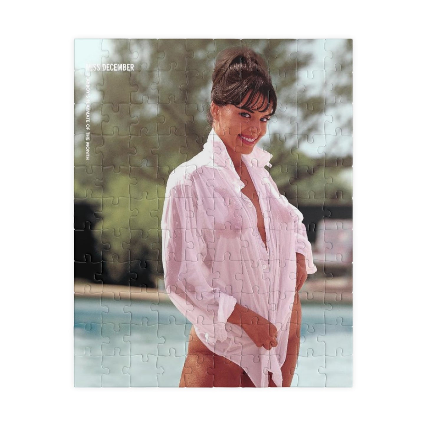 Puzzle (110, 252, 500, 1014-piece) Playboy Playmate December 1964 Jo Collins