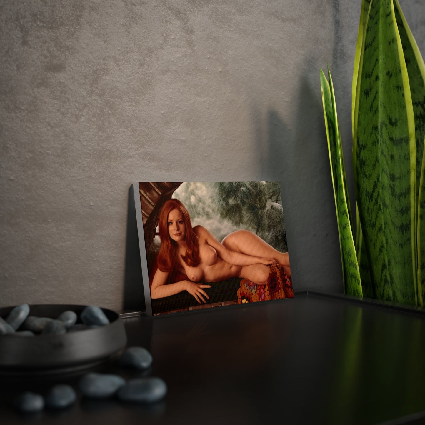 Canvas Photo Tile Playboy Playmate February 1971 Willy Rey